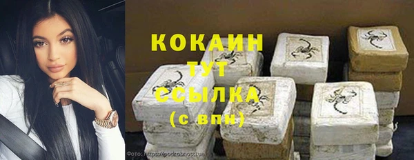 твердый Сатка