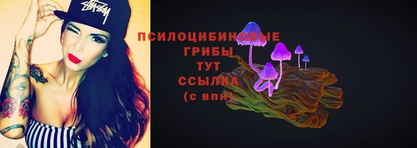 мдпв Семёнов