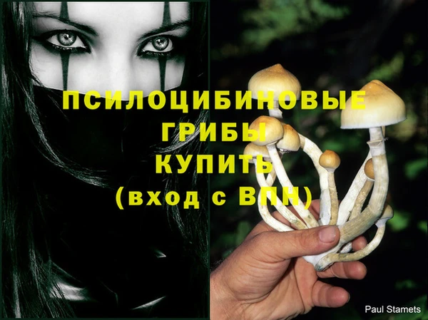 меф Арсеньев