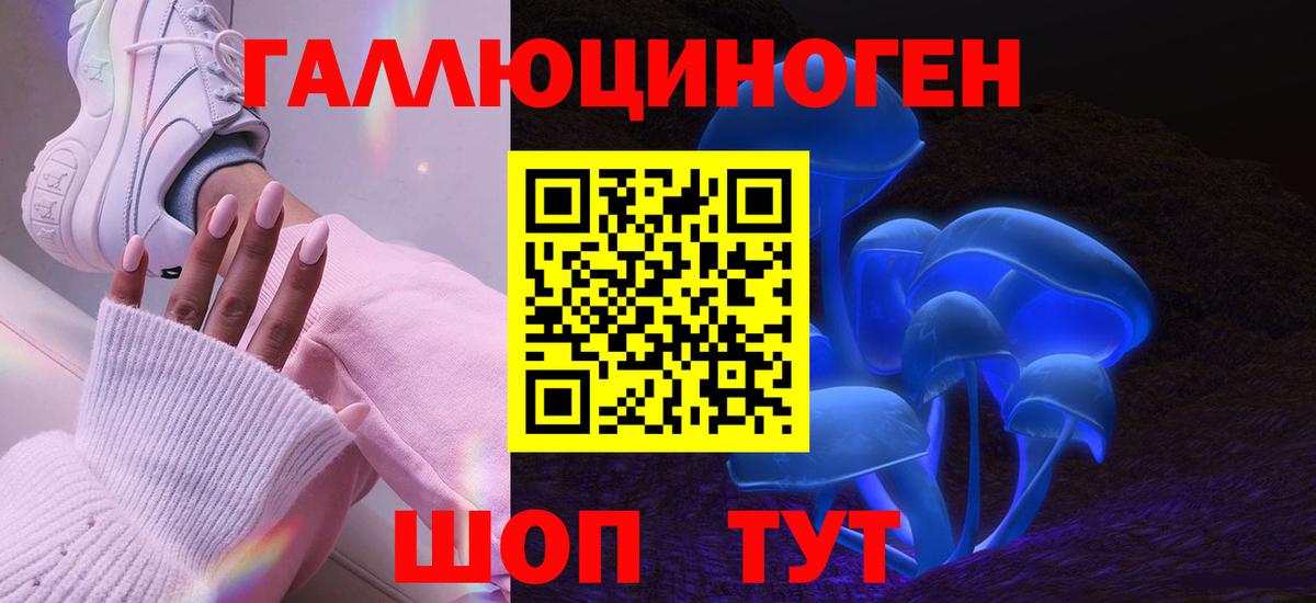 Галлюциногенные грибы GOLDEN TEACHER  купить наркотики цена  Серов  Вход с VPN 